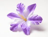 Клематис Батч слои (уп/100) Фиолетовый